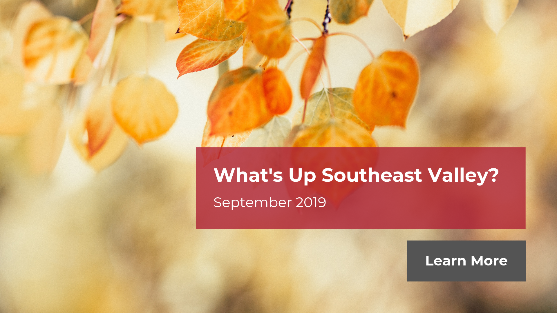 What's Up Southeast Valley - September 2019